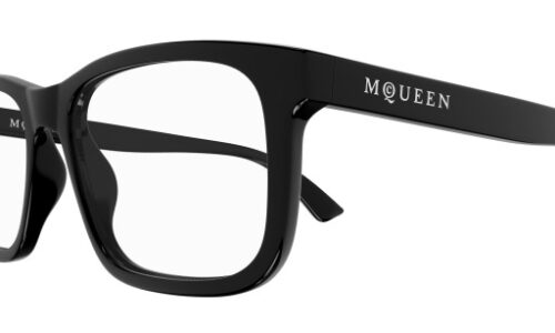 Alexander Mcqueen umgjörð 0486O 54