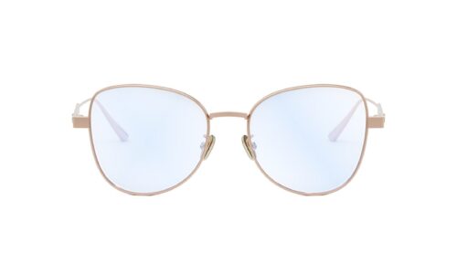 Dior umgjörð Cannageo B1F