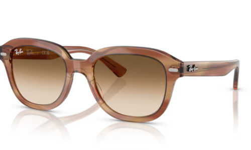 Ray Ban sólgleraugu 4398 53