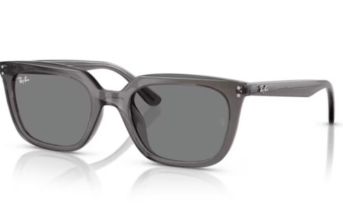 Ray Ban sólgleraugu 4439D 54