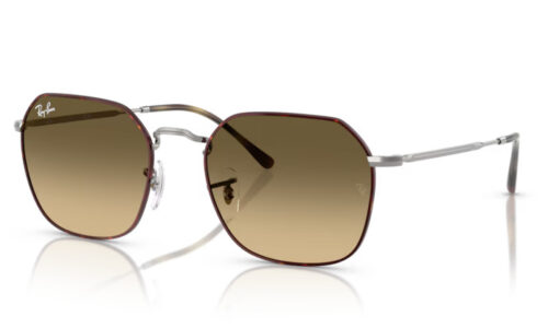 Ray Ban sólgleraugu 3694 53