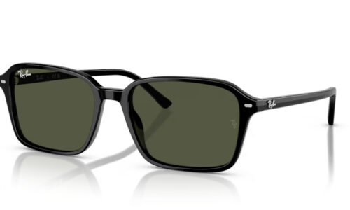 Ray Ban sólgleraugu 2231 56