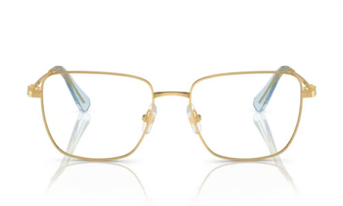Swarovski umgjörð 1003 55