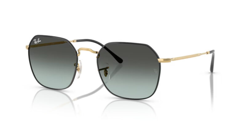 Ray Ban sólgleraugu 3694 55