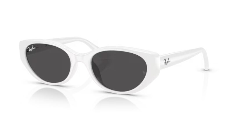 Ray Ban sólgleraugu 4457D 55