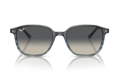 Ray Ban sólgleraugu Leonard 2193 53