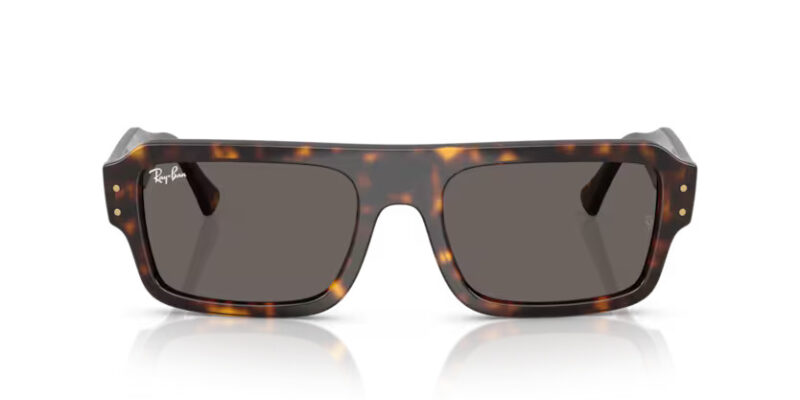 Ray Ban sólgleraugu 4454 53 - Image 2