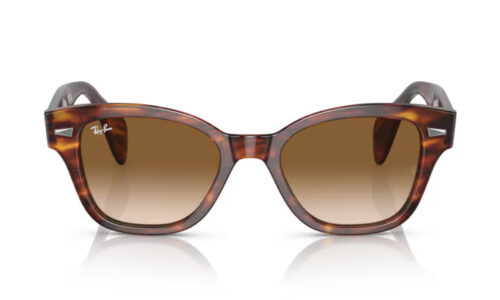 Ray Ban sólgleraugu 0880S 49