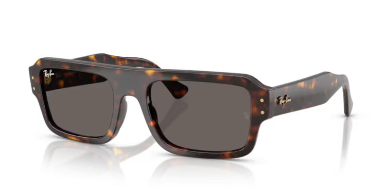 Ray Ban sólgleraugu 4454 53