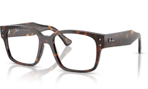 Ray Ban umgjörð 7256 53