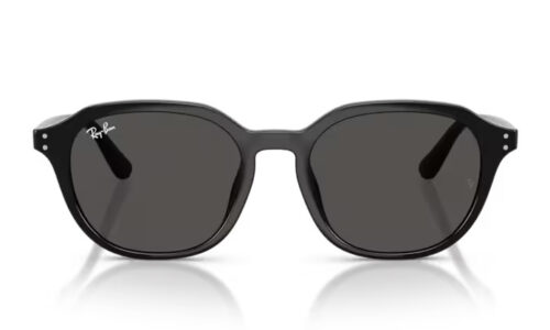 Ray Ban sólgleraugu 4459D 54