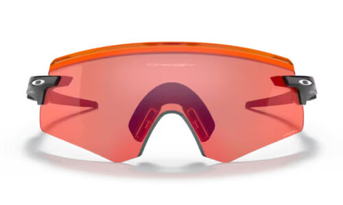 Oakley Encoder Polished Black Prizm Field