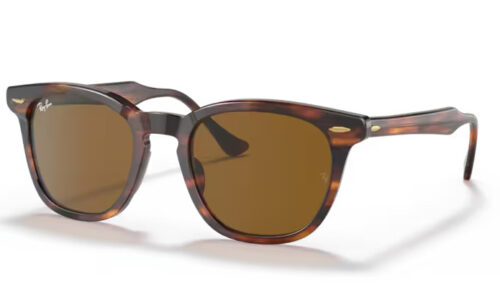Ray Ban sólgleraugu Hawkeye 2298 50