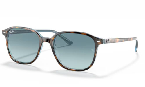 Ray Ban sólgleraugu Leonard 2193 53
