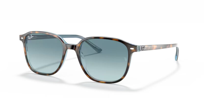 Ray Ban sólgleraugu Leonard 2193 53