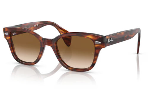 Ray Ban sólgleraugu 0880S 49