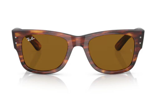 Ray Ban sólgleraugu Mega Wayfarer 0840S 51