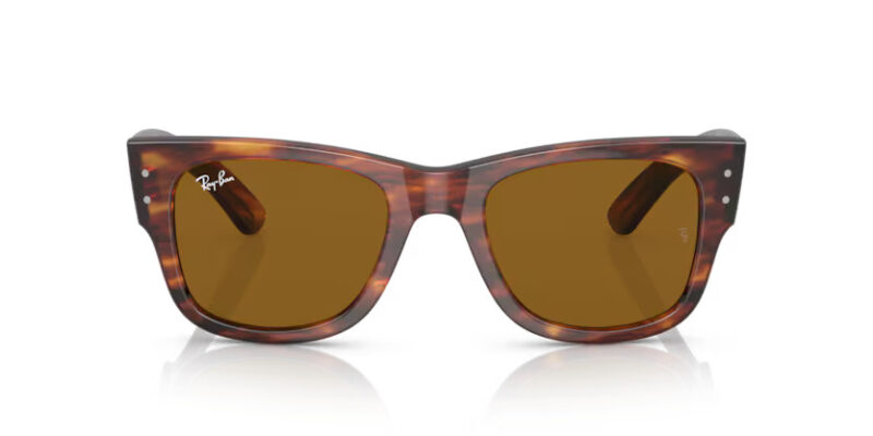 Ray Ban sólgleraugu Mega Wayfarer 0840S 51 - Image 2