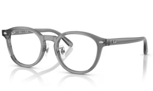 Ray Ban umgjörð 5443D 49