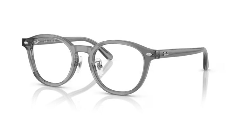Ray Ban umgjörð 5443D 49