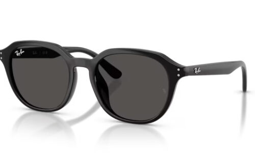 Ray Ban sólgleraugu 4459D 54