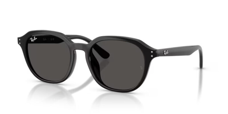 Ray Ban sólgleraugu 4459D 54