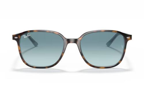 Ray Ban sólgleraugu Leonard 2193 53