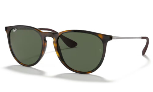 Ray Ban sólgleraugu Erika 4171 54