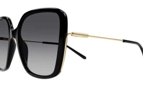 Chloé sólgleraugu 0173S