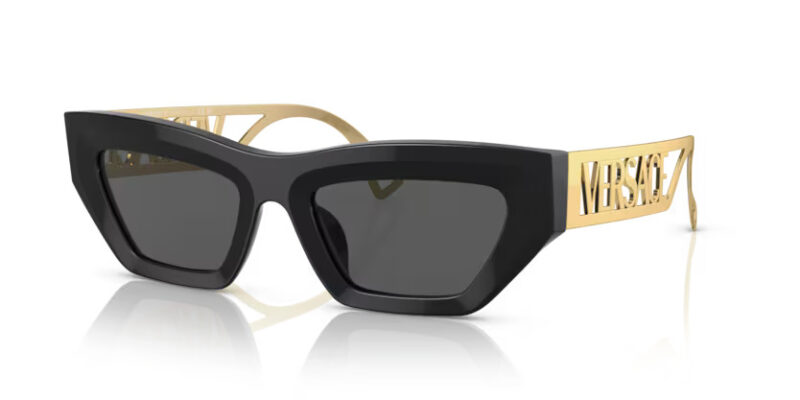 Versace 4432U 53 GB187