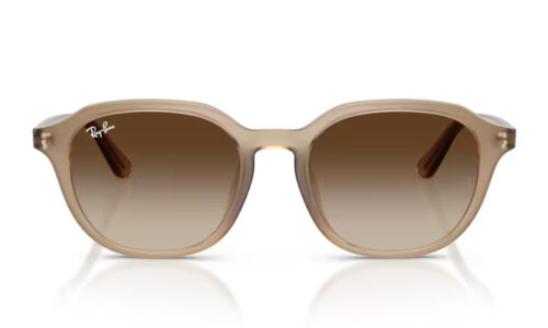 Ray Ban sólgleraugu 4459D 54