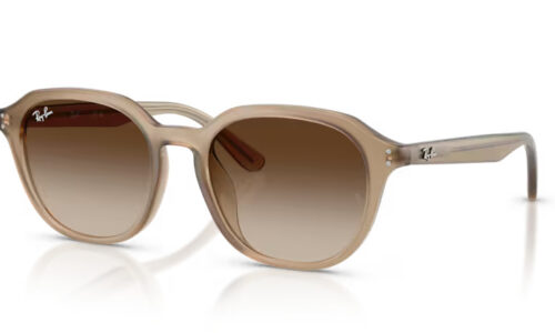 Ray Ban sólgleraugu 4459D 54