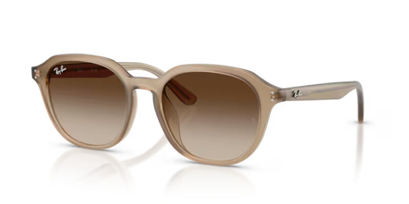 Ray Ban sólgleraugu 4459D 54