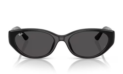 Ray Ban sólgleraugu 4457D 55