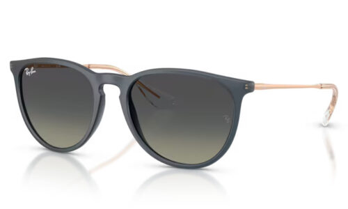 Ray Ban sólgleraugu Erika 4171 54