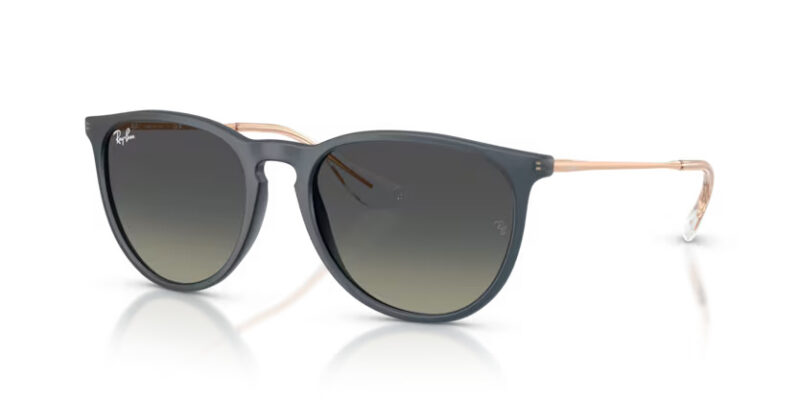Ray Ban sólgleraugu Erika 4171 54
