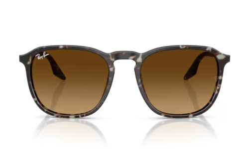 Ray Ban sólgleraugu 2203 55