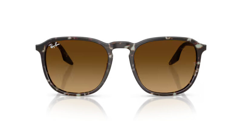 Ray Ban sólgleraugu 2203 55 - Image 2