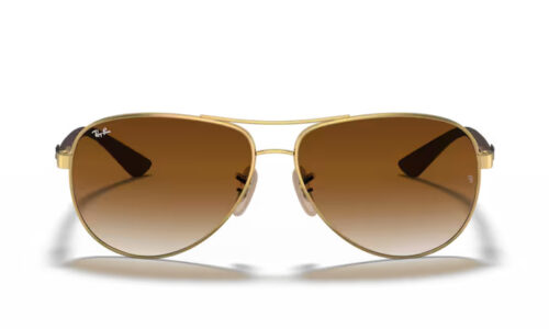 Ray Ban sólgleraugu 8313 61