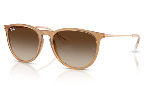 Ray Ban sólgleraugu 4171 54