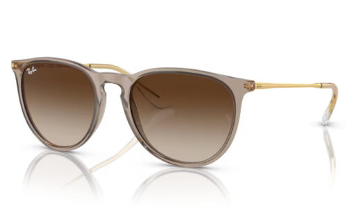 Ray Ban sólgleraugu Erika 4171 54
