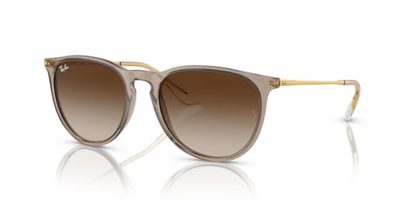Ray Ban sólgleraugu Erika 4171 54