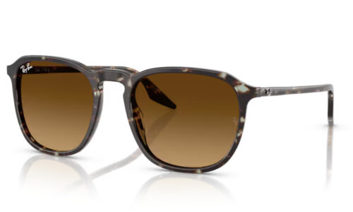Ray Ban sólgleraugu 2203 55