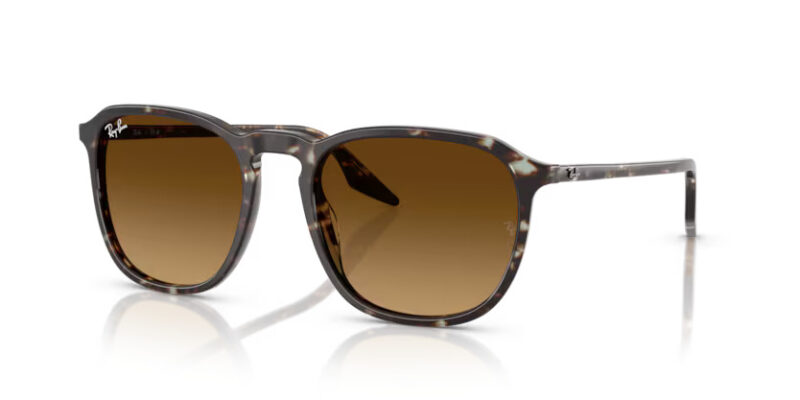 Ray Ban sólgleraugu 2203 55
