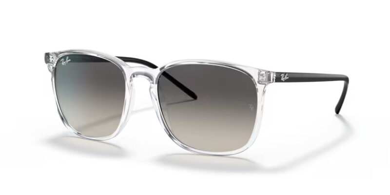 Ray Ban sólgleraugu 4387 54