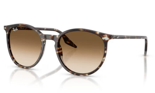 Ray Ban  sólgleraugu 2204 54