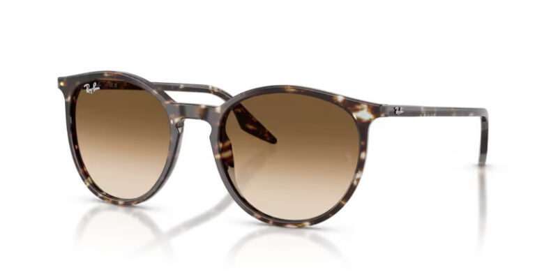 Ray Ban  sólgleraugu 2204 54