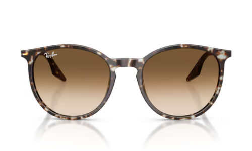 Ray Ban  sólgleraugu 2204 54