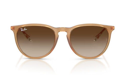 Ray Ban sólgleraugu 4171 54