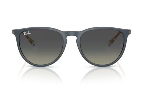 Ray Ban sólgleraugu Erika 4171 54